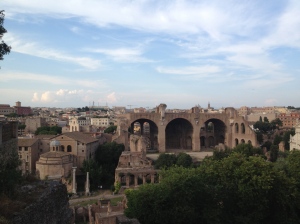 View from the top of the surrounding area and of the Forum itself. 